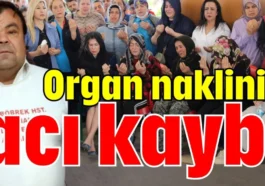 Organ naklinin acı kaybı