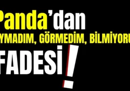 ‘Panda’dan duymadım, görmedim, bilmiyorum ifadesi!