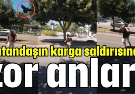 Vatandaşın karga saldırısında zor anları
