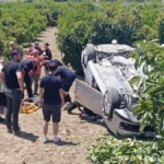 Virajı alamadı, avokado bahçesine uçtu
