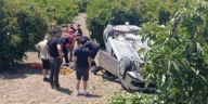 Virajı alamadı, avokado bahçesine uçtu