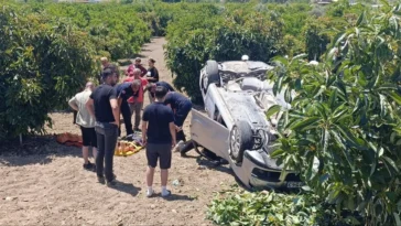 Virajı alamadı, avokado bahçesine uçtu