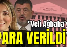 Zuhal Böcek, 'Veli Ağbaba'ya para verildi'